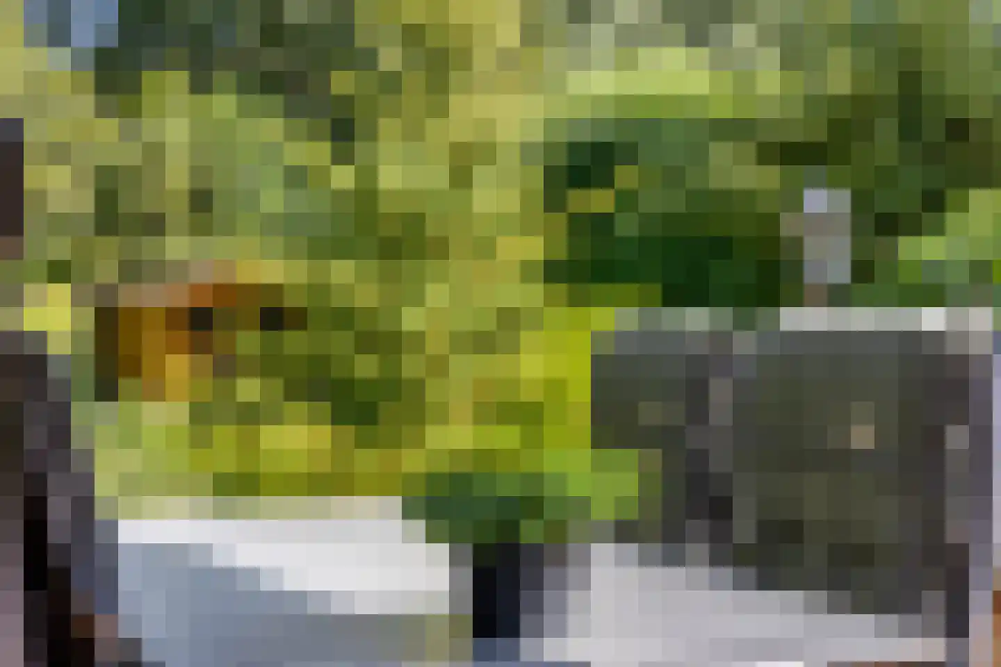 Voorweg 162 Zoetermeer thumbnail 25