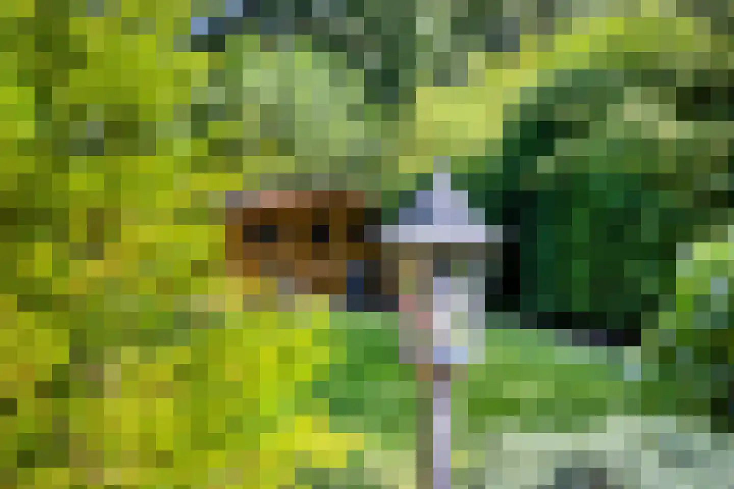 Voorweg 162 Zoetermeer thumbnail 26