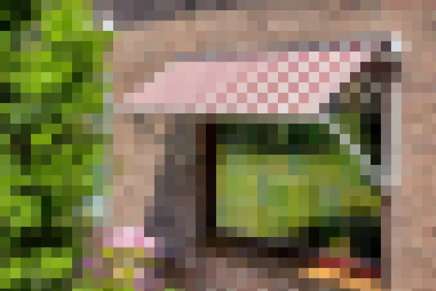 Voorweg 162 Zoetermeer thumbnail 27