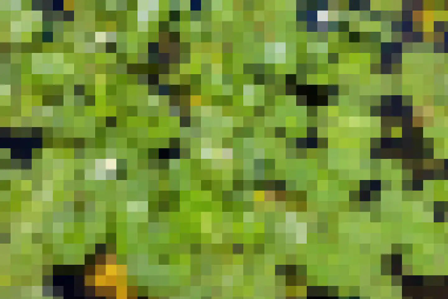 Voorweg 162 Zoetermeer thumbnail 31