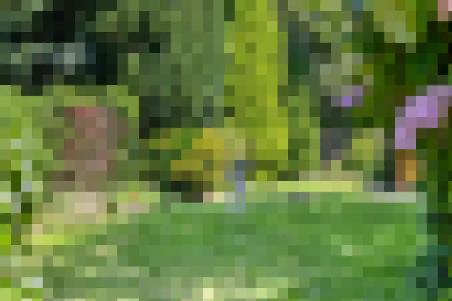 Voorweg 162 Zoetermeer thumbnail 5