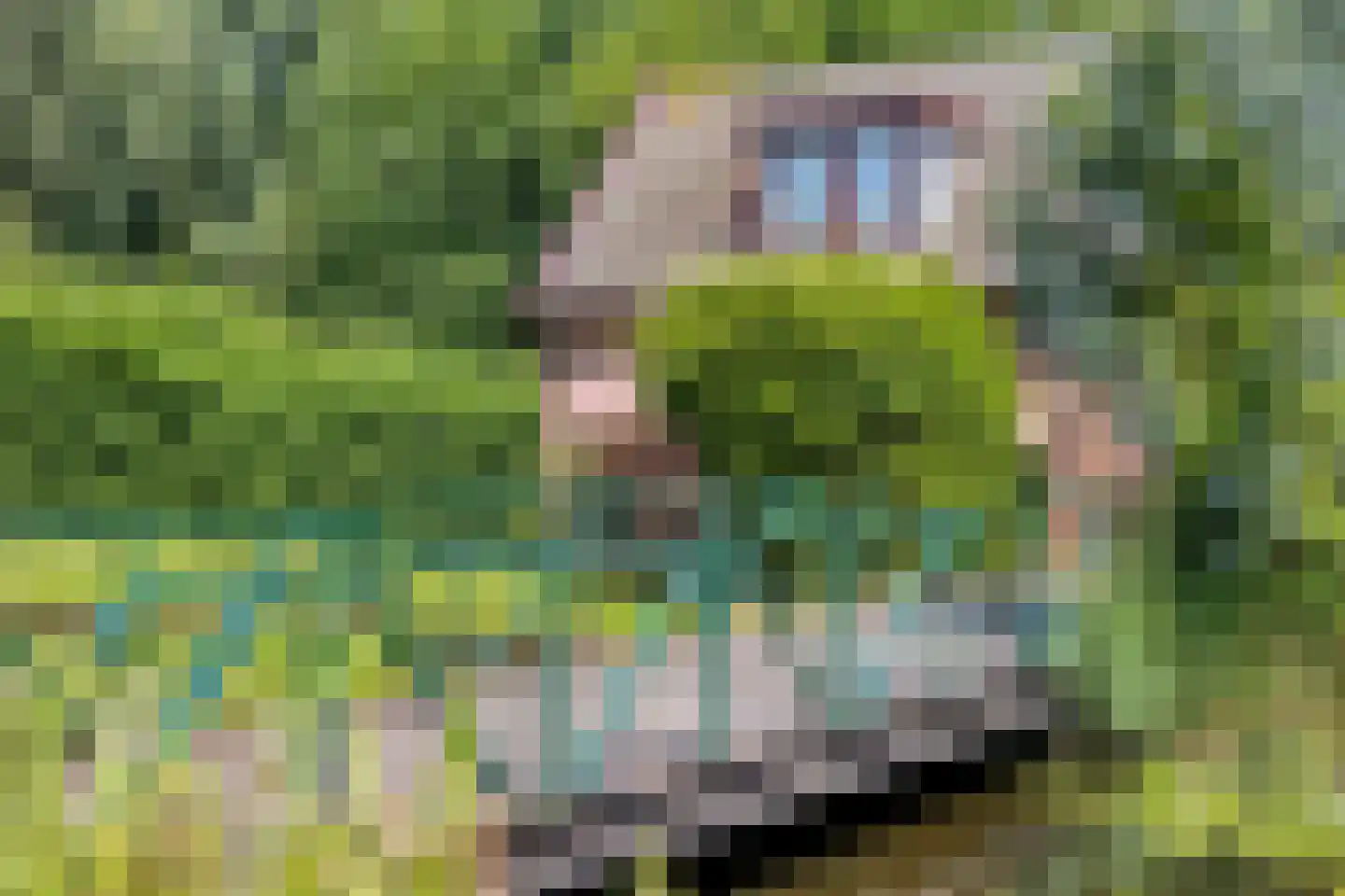 Voorweg 162 Zoetermeer thumbnail 6