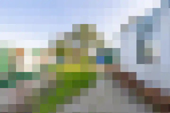 Voorweg 28 Callantsoog thumbnail 12
