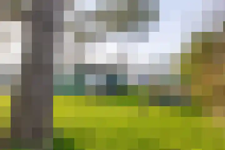Voorweg 28 Callantsoog thumbnail 13