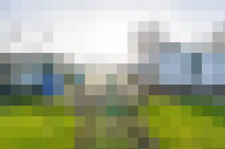 Voorweg 28 Callantsoog thumbnail 14