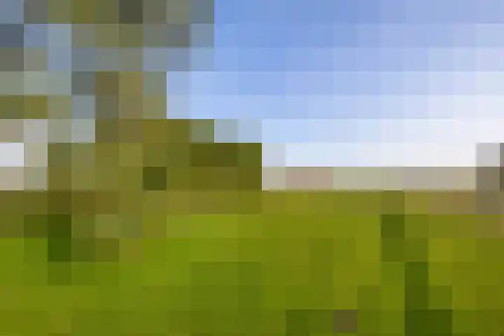 Voorweg 28 Callantsoog thumbnail 15