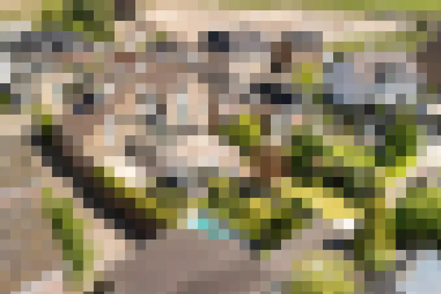 Voorweg 3 Hazerswoude-Dorp thumbnail 41