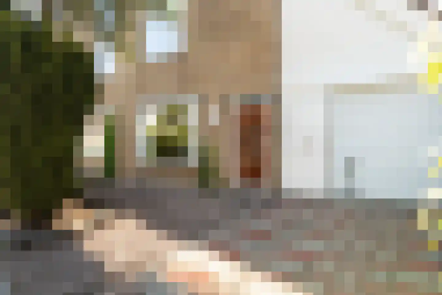 Voorweg 3 Hazerswoude-Dorp thumbnail 6