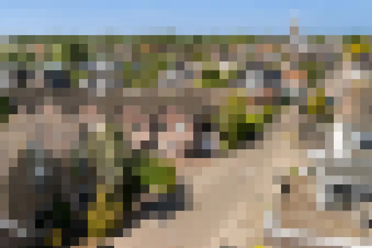 Voorweg 3 Hazerswoude-Dorp thumbnail 69