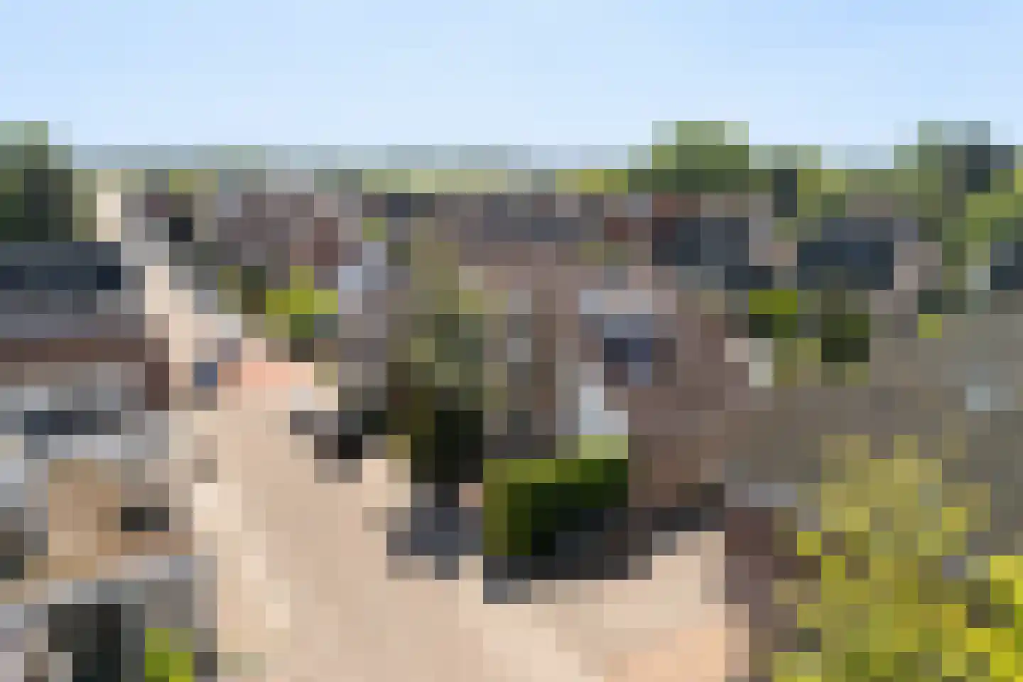 Voorweg 3 Hazerswoude-Dorp thumbnail 71
