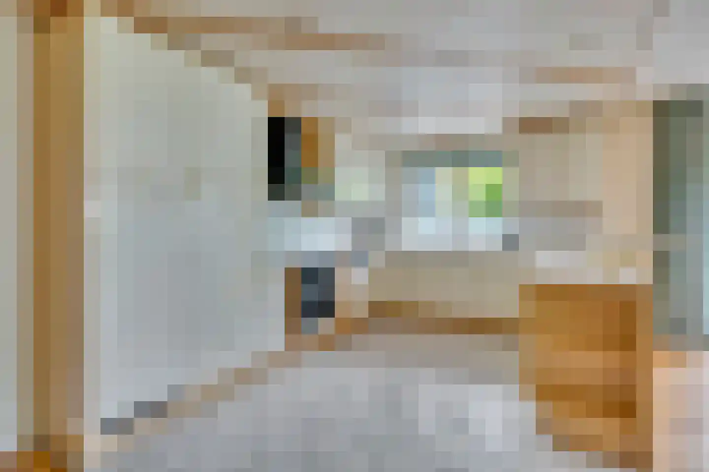 Voorweg 3 Hellevoetsluis thumbnail 4