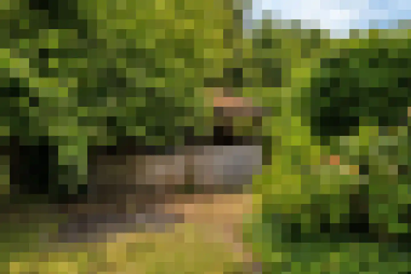 Voorweg 3 Hellevoetsluis thumbnail 56