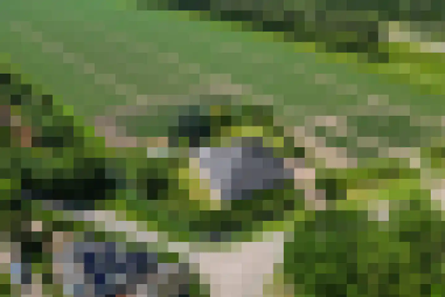 Voorweg 3 Hellevoetsluis thumbnail 66
