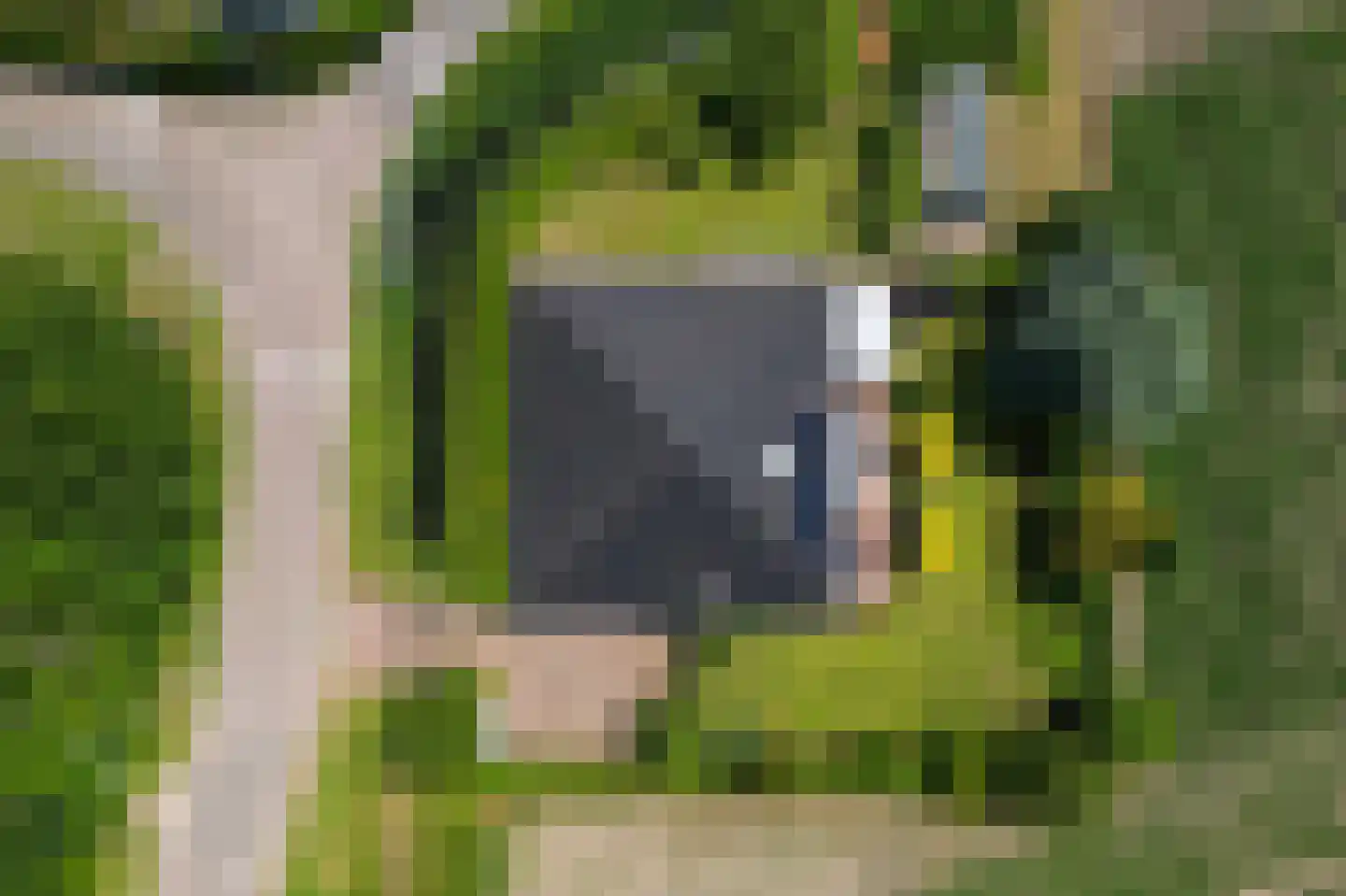 Voorweg 3 Hellevoetsluis thumbnail 68