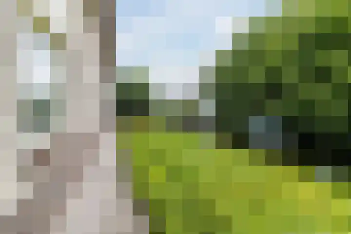 Voorweg 46 Hazerswoude-Dorp thumbnail 38