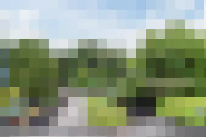 Voorweg 46 Hazerswoude-Dorp thumbnail 39