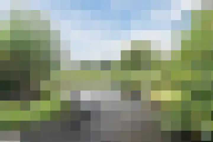 Voorweg 46 Hazerswoude-Dorp thumbnail 42