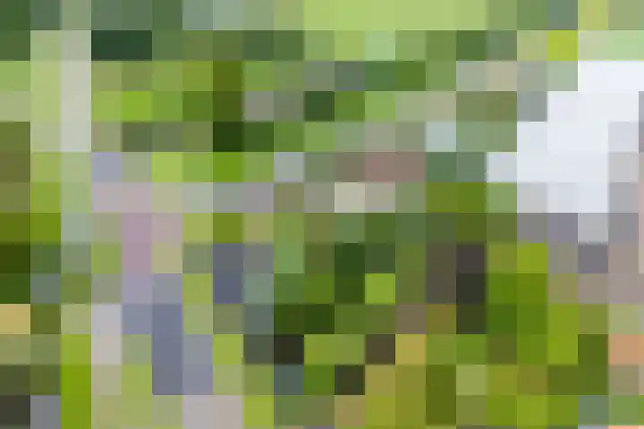 Voorweg 46 Hazerswoude-Dorp thumbnail 61