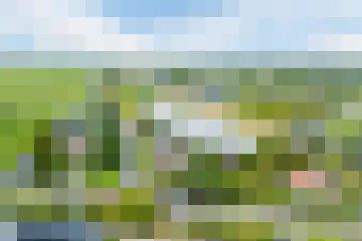 Voorweg 46 Hazerswoude-Dorp thumbnail 63
