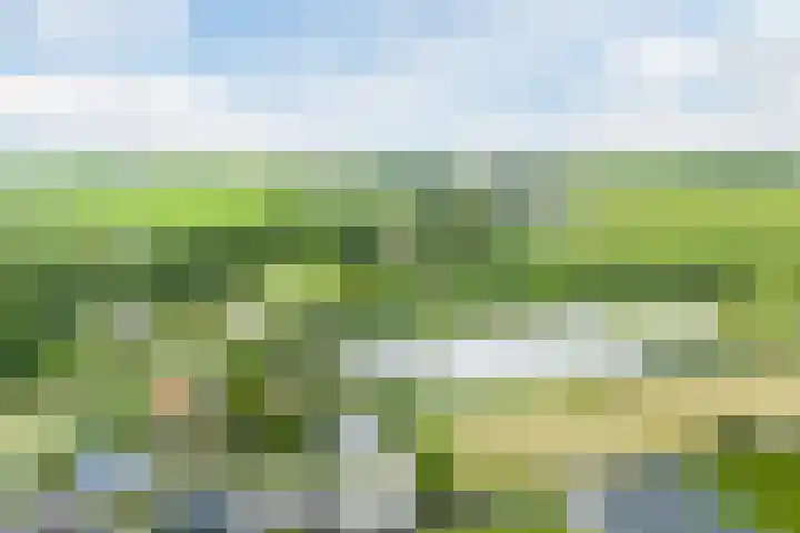 Voorweg 46 Hazerswoude-Dorp thumbnail 65