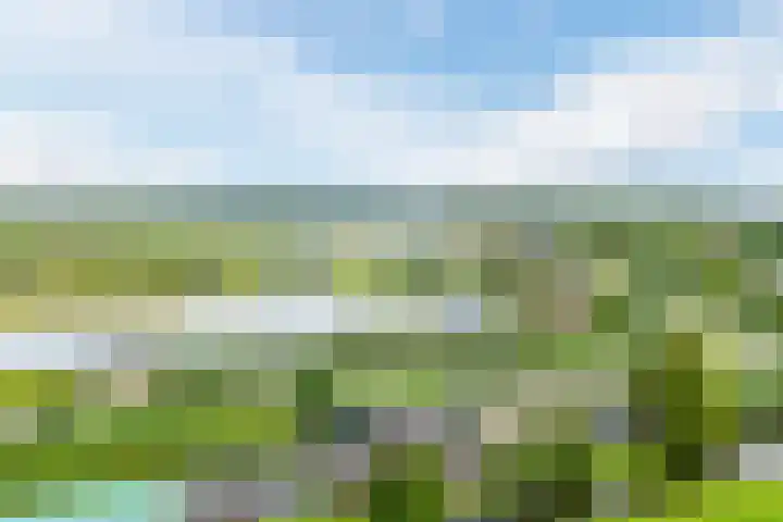 Voorweg 46 Hazerswoude-Dorp thumbnail 66