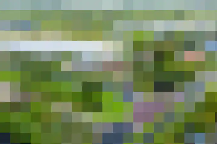 Voorweg 46 Hazerswoude-Dorp thumbnail 67