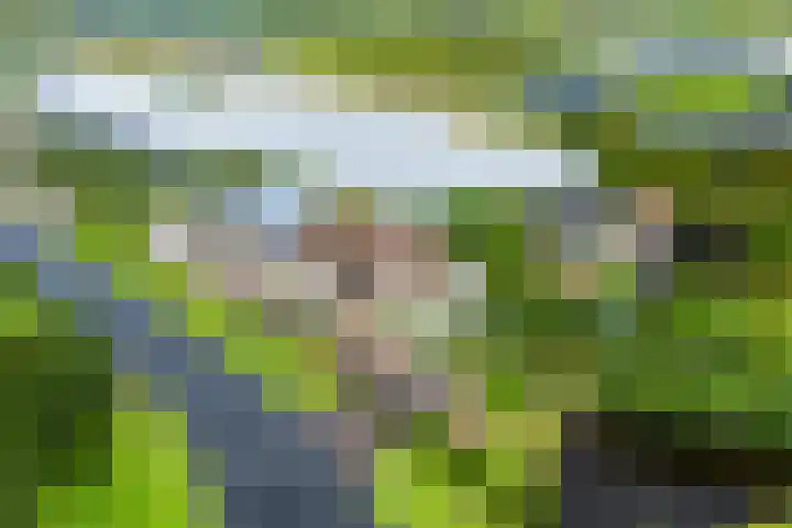 Voorweg 46 Hazerswoude-Dorp thumbnail 68