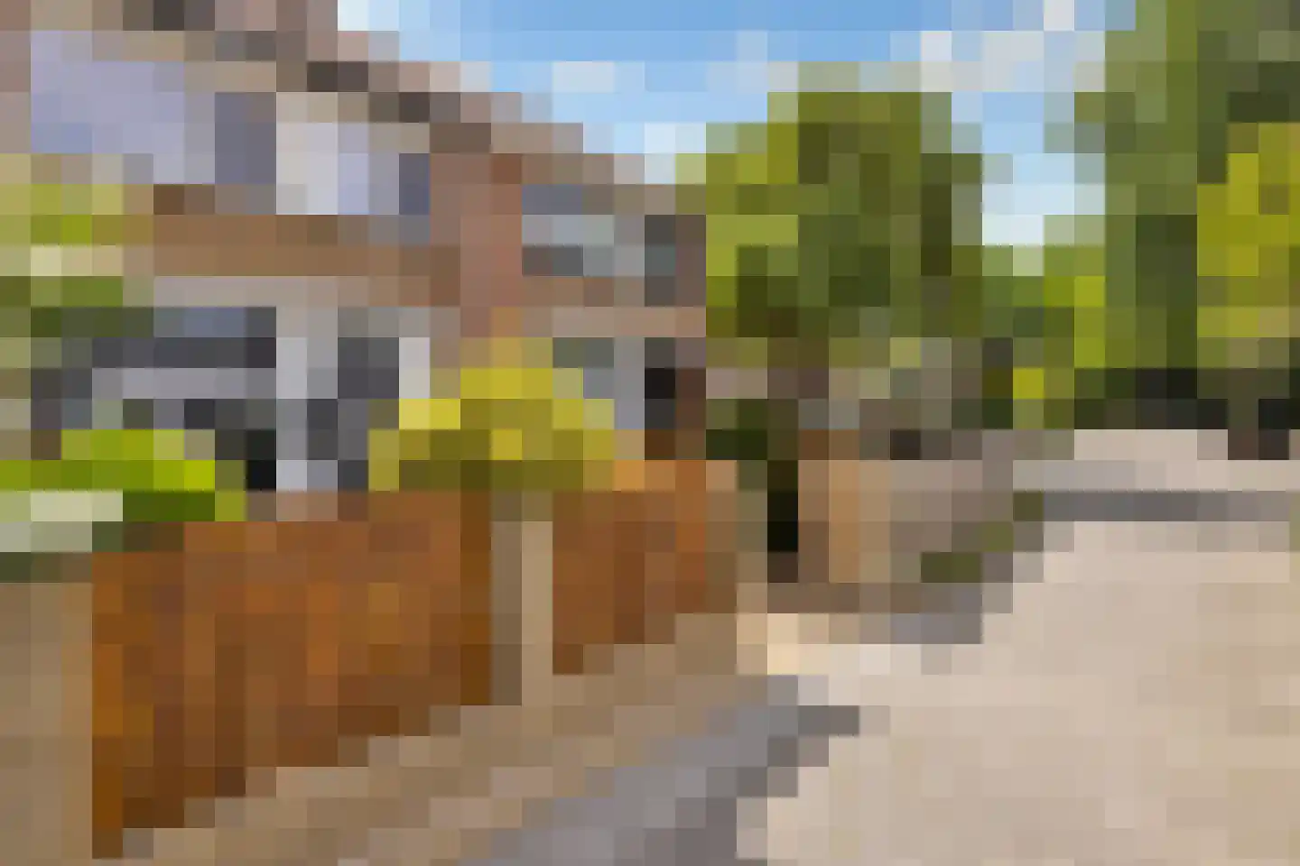 Voorweg 46 Hoogvliet Rotterdam thumbnail 4