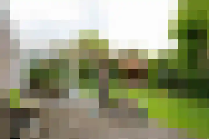 Voorweg 48 Hazerswoude-Dorp thumbnail 10