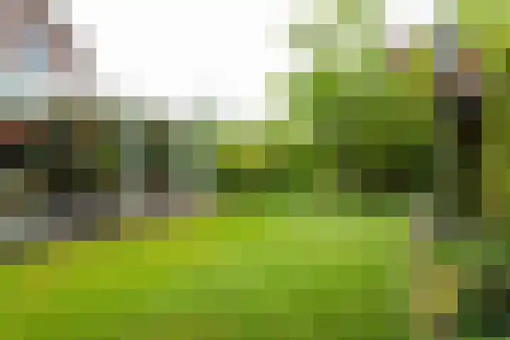 Voorweg 48 Hazerswoude-Dorp thumbnail 13