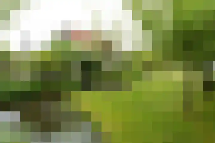 Voorweg 48 Hazerswoude-Dorp thumbnail 15