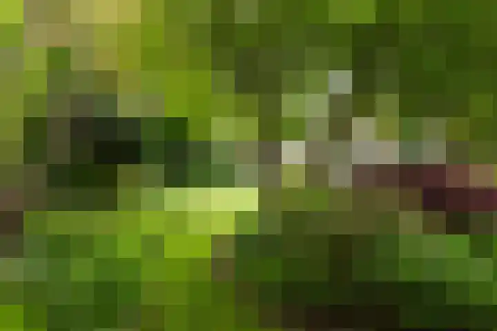 Voorweg 48 Hazerswoude-Dorp thumbnail 16