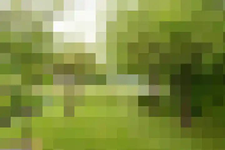 Voorweg 48 Hazerswoude-Dorp thumbnail 17