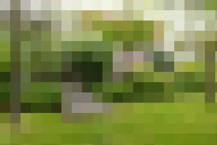 Voorweg 48 Hazerswoude-Dorp thumbnail 18