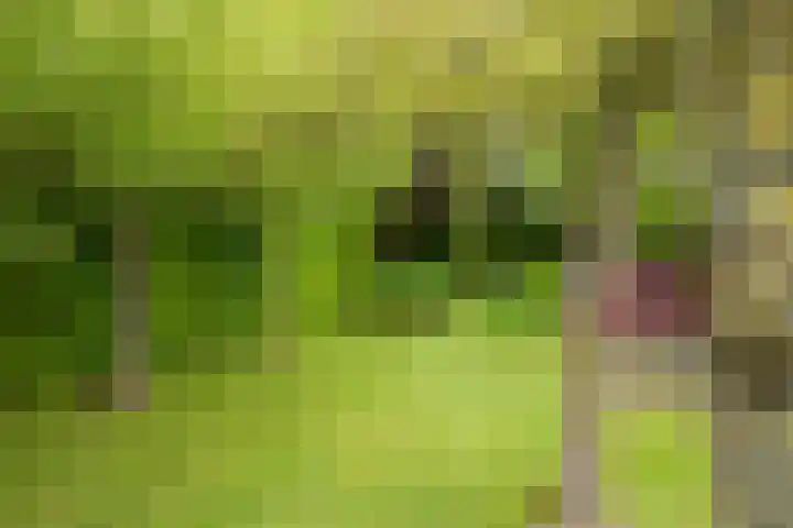 Voorweg 48 Hazerswoude-Dorp thumbnail 19