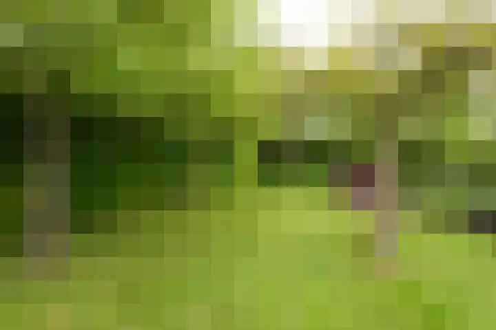 Voorweg 48 Hazerswoude-Dorp thumbnail 20
