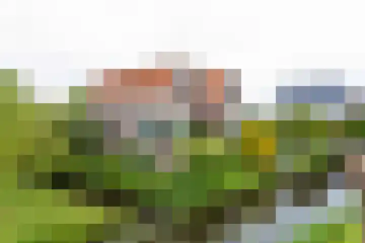 Voorweg 48 Hazerswoude-Dorp thumbnail 5