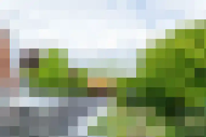 Voorweg 48 Hazerswoude-Dorp thumbnail 64