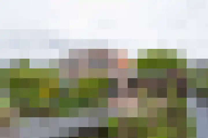 Voorweg 48 Hazerswoude-Dorp thumbnail 66