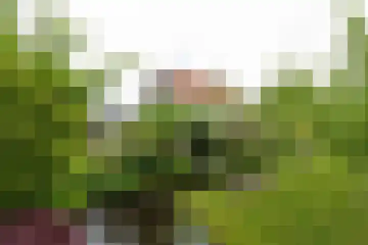 Voorweg 48 Hazerswoude-Dorp thumbnail 7