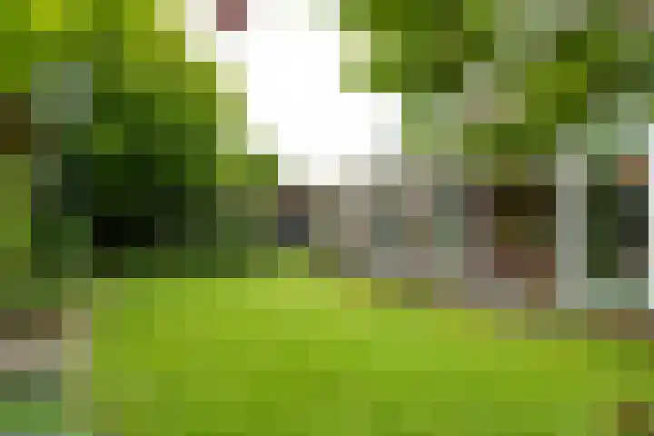 Voorweg 48 Hazerswoude-Dorp thumbnail 8