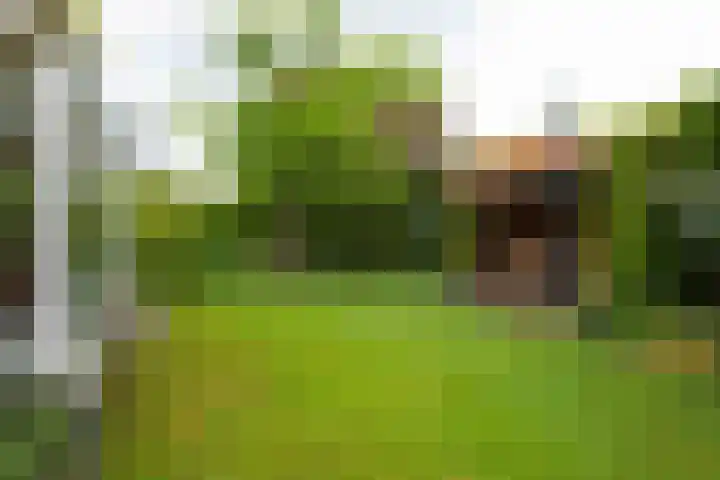 Voorweg 48 Hazerswoude-Dorp thumbnail 9