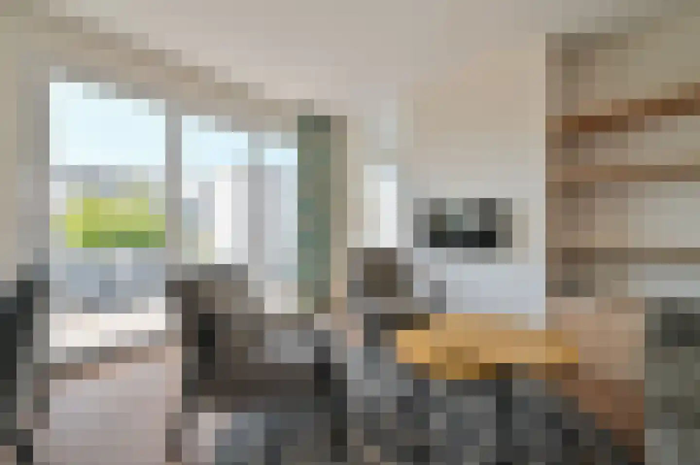 Voorweg 5 A h54 Callantsoog thumbnail 9
