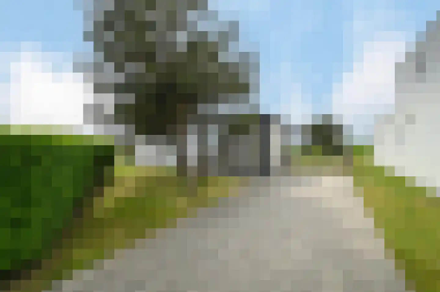 Voorweg 5 A h62 Callantsoog thumbnail 19