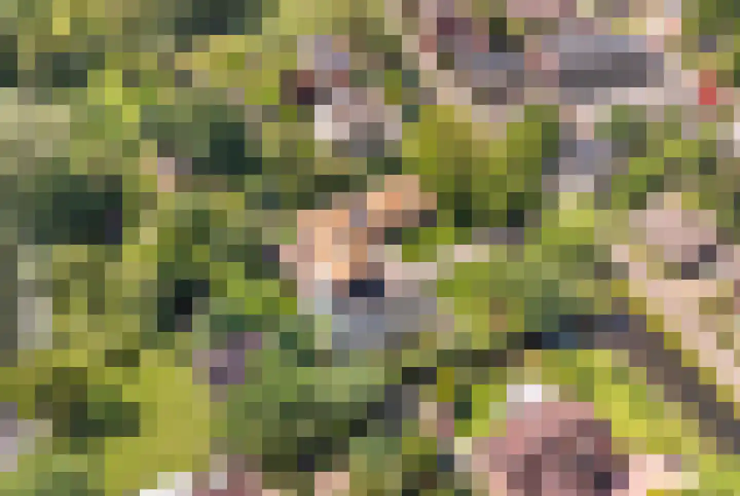 Voorweg 50 Nieuwe Wetering thumbnail 4