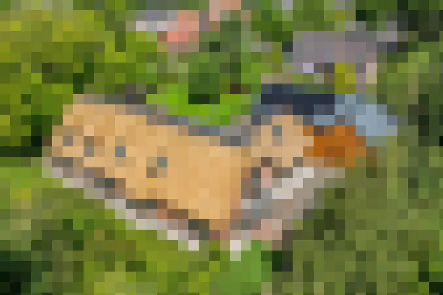 Voorweg 50 Nieuwe Wetering thumbnail 5