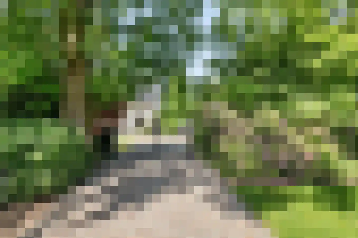 Voorweg 50 Nieuwe Wetering thumbnail 59