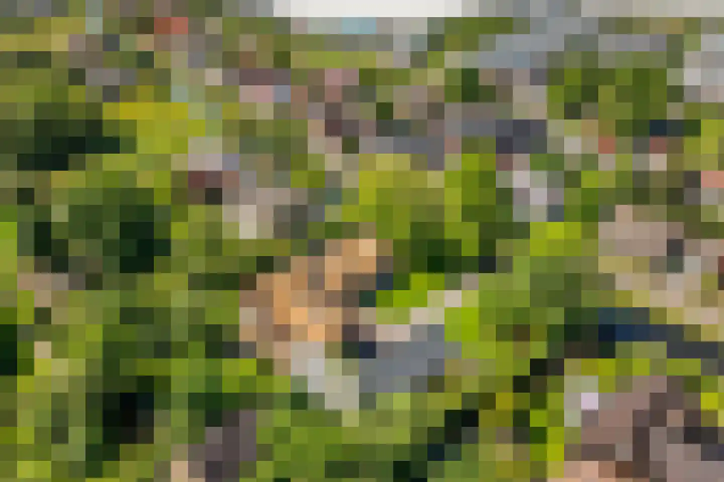 Voorweg 50 Nieuwe Wetering thumbnail 6
