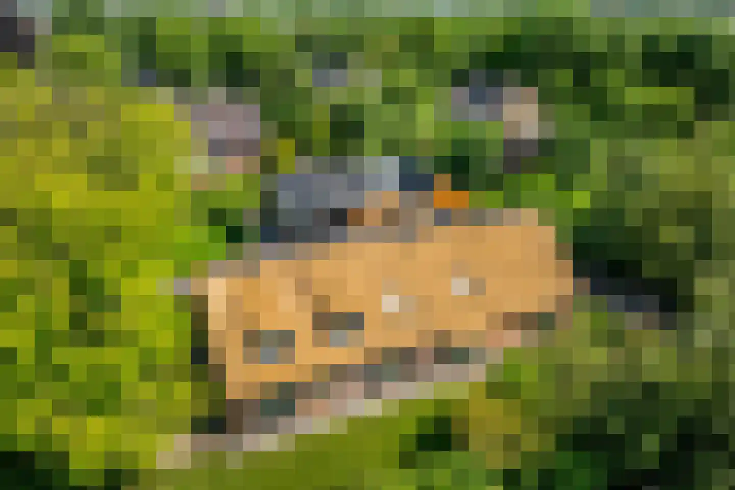 Voorweg 50 Nieuwe Wetering thumbnail 7