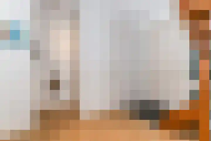 Voorweg 60 Oostvoorne thumbnail 19